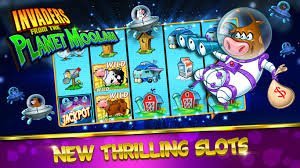 Studio Dealer Langsung Permainan dealer langsung di bingoslot